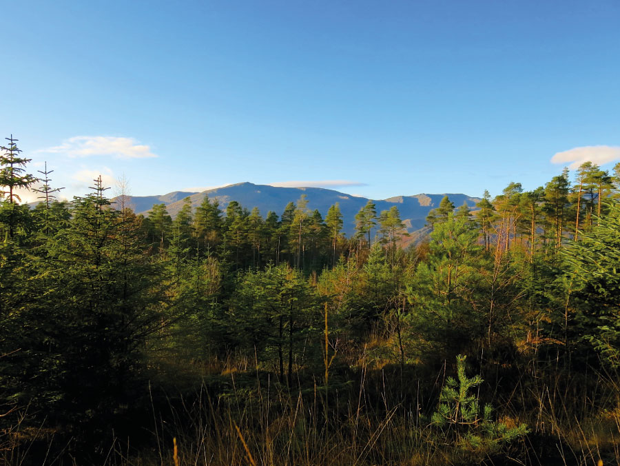 The North Face mountain biking trail, Grizedale, Lake District | Outdoor Adventure Motivational Speaking | Hetty Key | Mud, Chalk & Gears