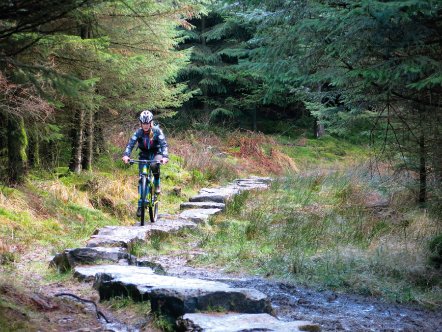 The North Face mountain biking trail, Grizedale, Lake District | Outdoor Adventure Motivational Speaking | Hetty Key | Mud, Chalk & Gears