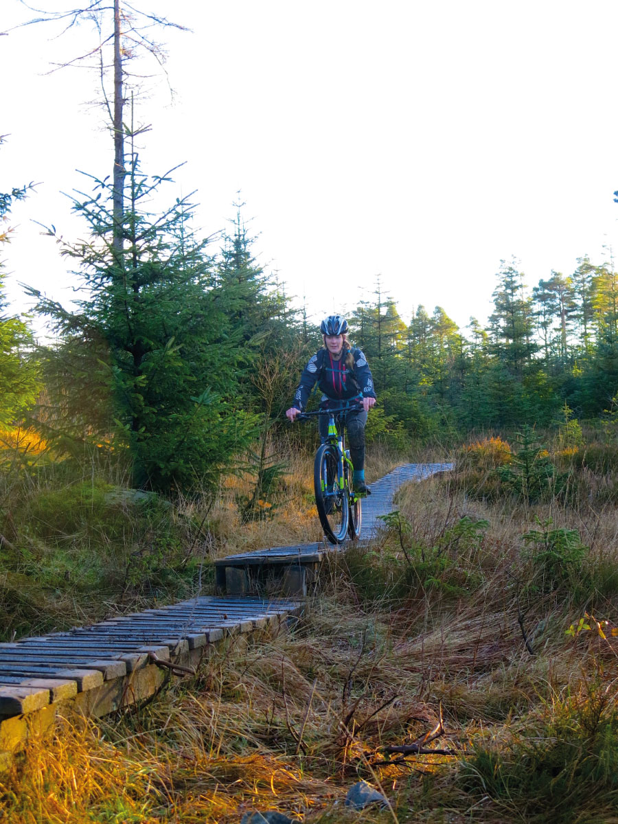 The North Face mountain biking trail, Grizedale, Lake District | Outdoor Adventure Motivational Speaking | Hetty Key | Mud, Chalk & Gears