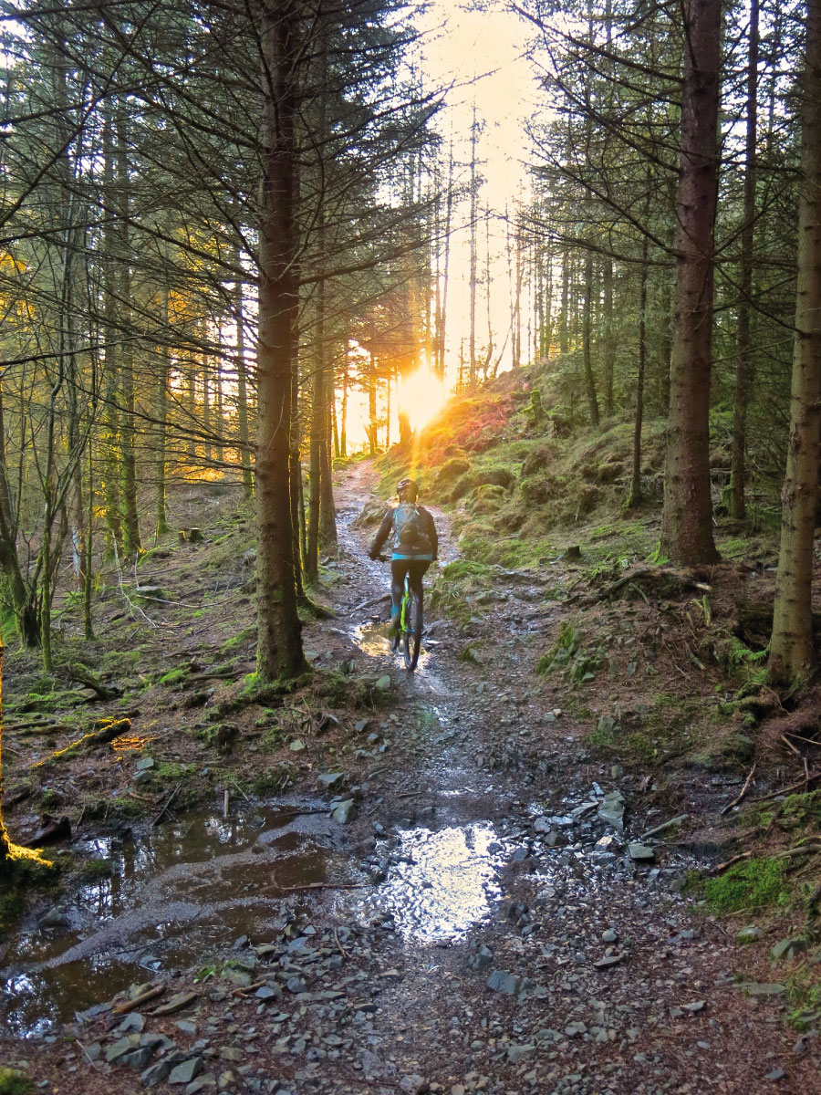 The North Face mountain biking trail, Grizedale, Lake District | Outdoor Adventure Motivational Speaking | Hetty Key | Mud, Chalk & Gears