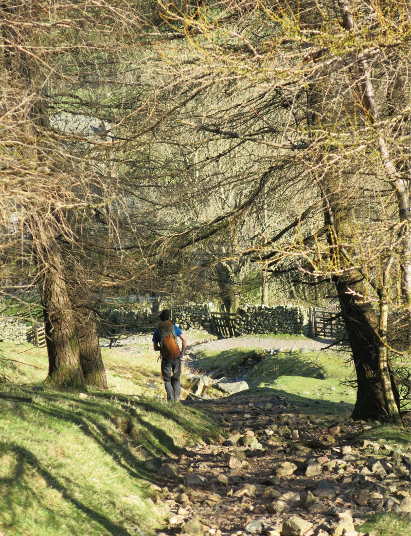 Climbing at Raven Crag, Langdale, Lake District | Outdoor Adventure Motivational Speaking | Hetty Key | Mud, Chalk & Gears