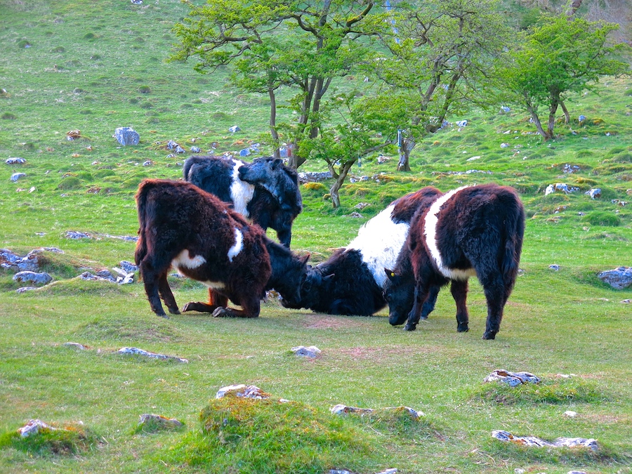 Malham Cove and Gordale Scar | Outdoor Adventure Motivational Speaking | Hetty Key | Mud, Chalk & Gears