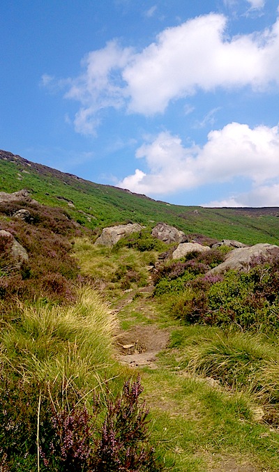 So pretty now the heather is out