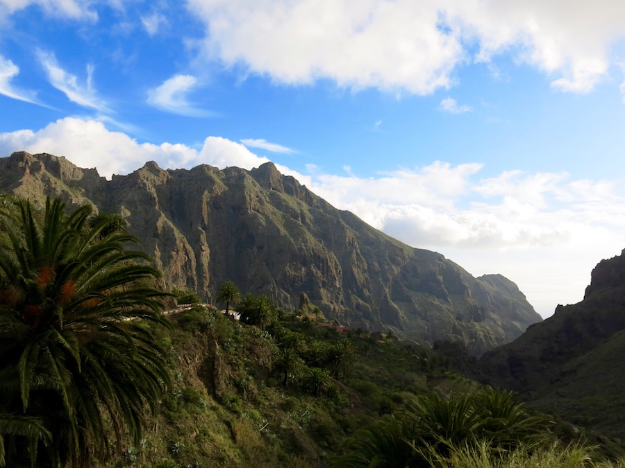 A few other highlights from Tenerife