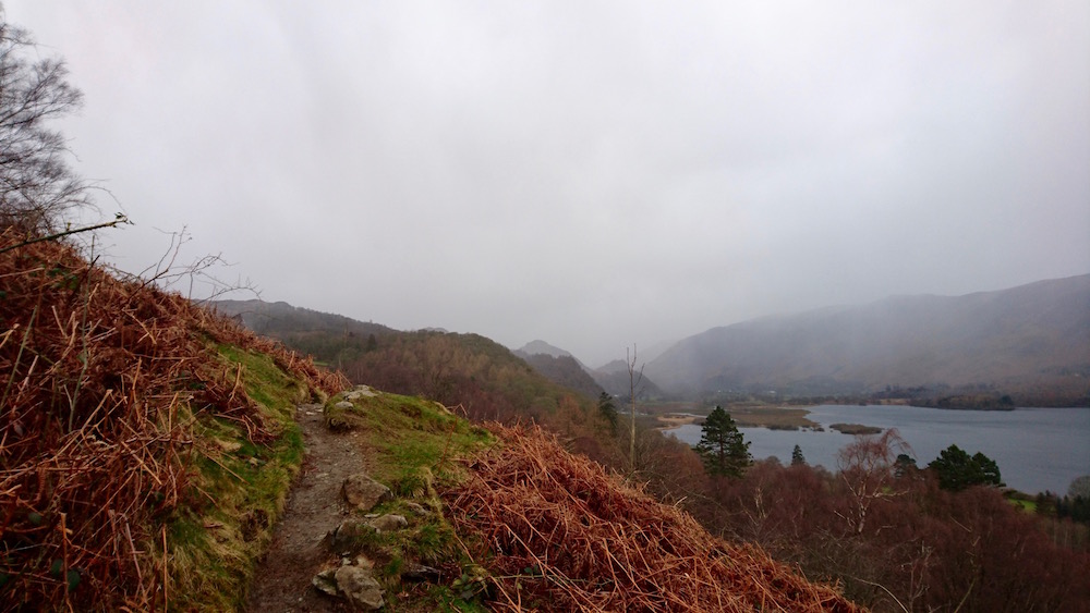 A really nice flowing section of trail around Falcon Crag