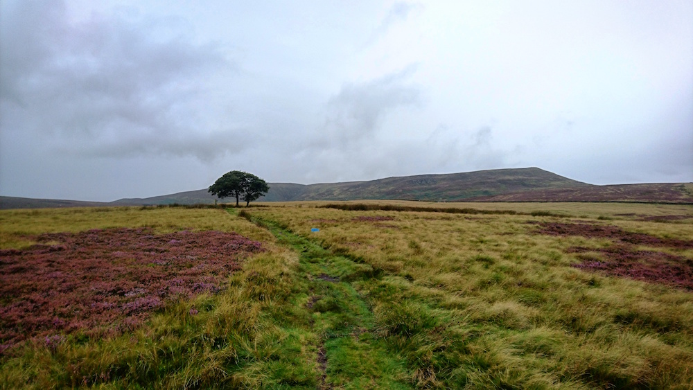 Looking towards Crookstone Knoll