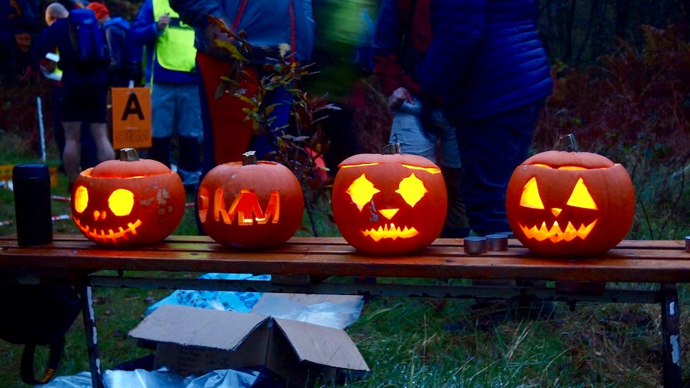 The OMM pumpkins! Photo credit: www.theomm.com