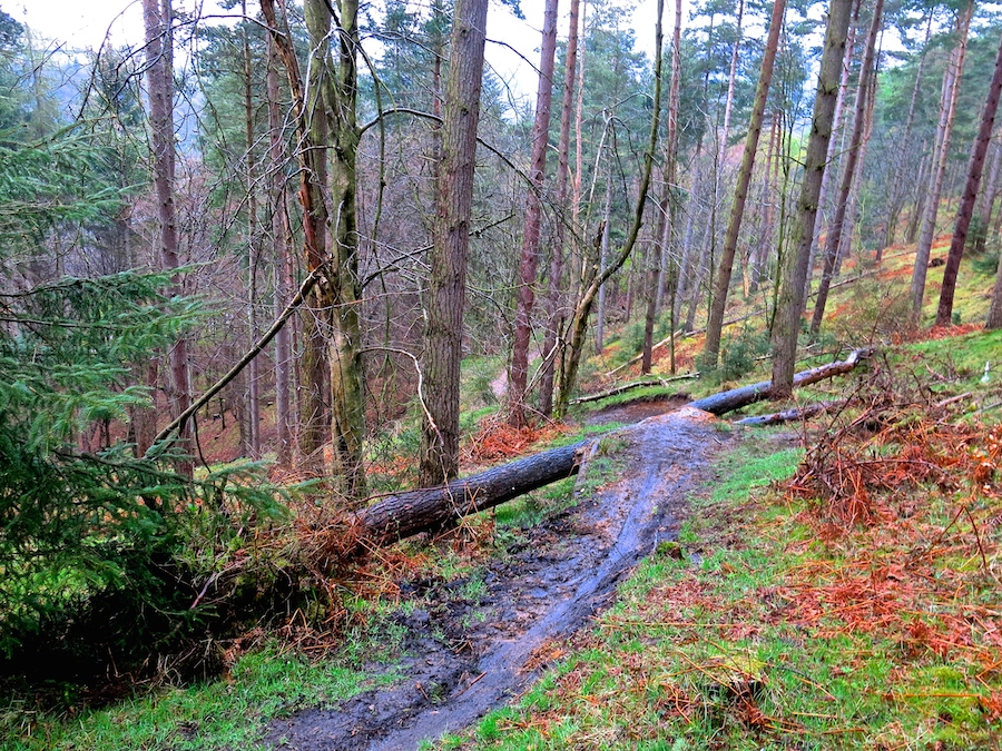 Mountain biking in the Peak District | Outdoor Adventure Motivational Speaking | Hetty Key | Mud, Chalk & Gears