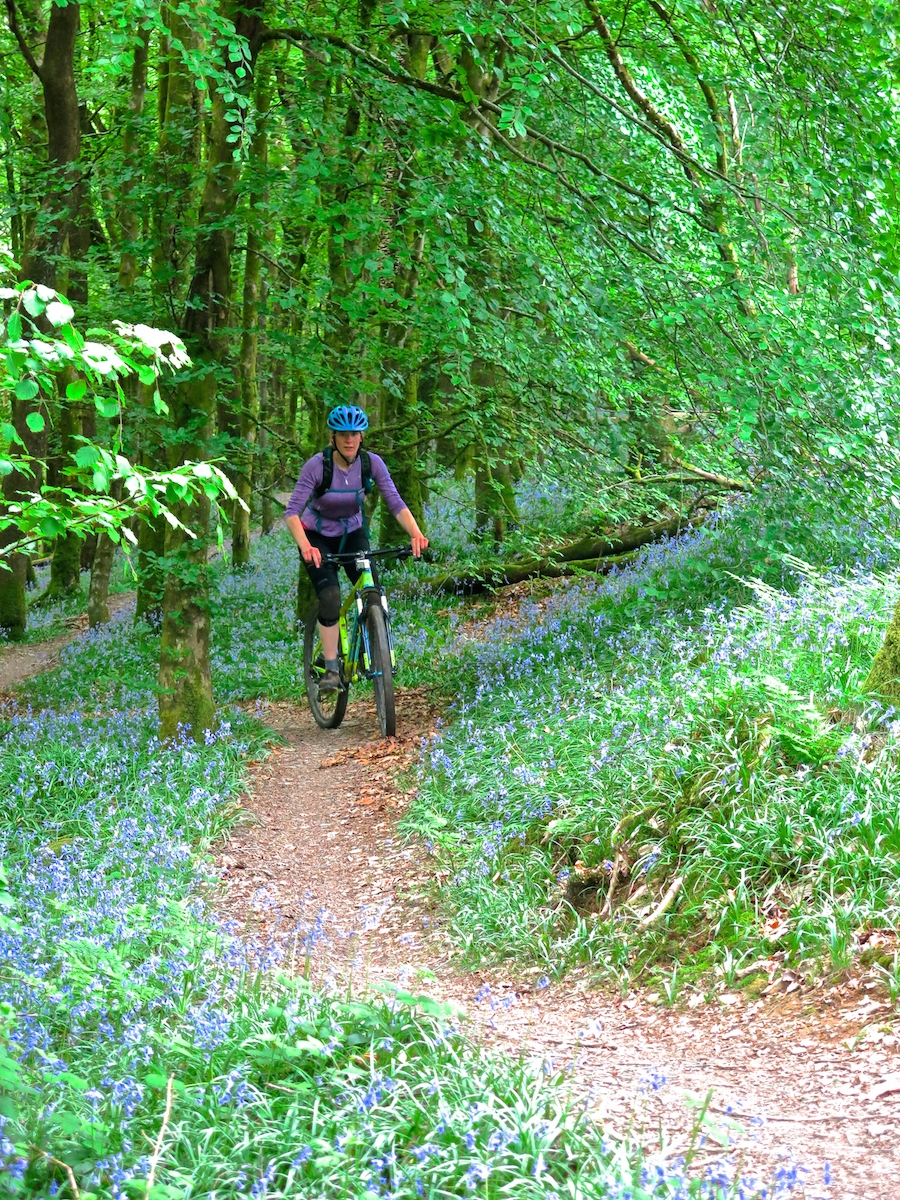 Mountain biking, Raven Trail, Brechfa | Outdoor Adventure Motivational Speaking | Hetty Key | Mud, Chalk & Gears