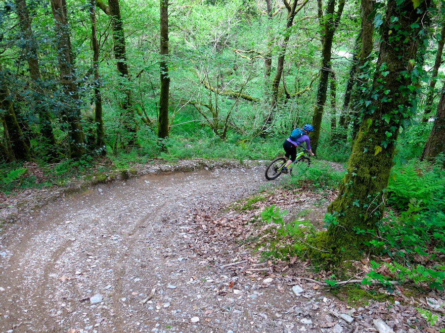 Mountain biking, Raven Trail, Brechfa | Outdoor Adventure Motivational Speaking | Hetty Key | Mud, Chalk & Gears